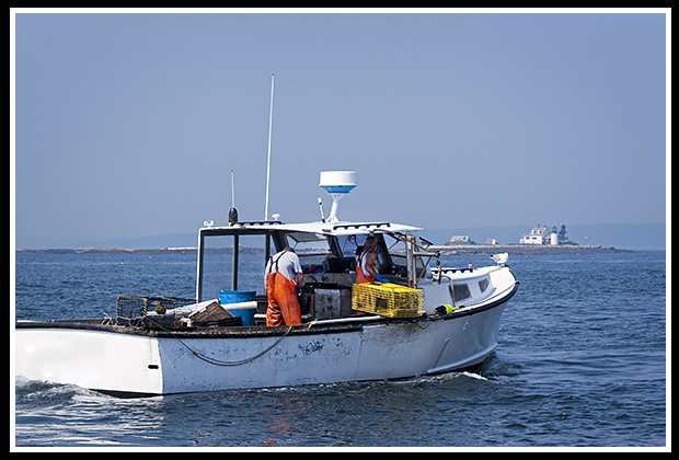 Lobstering near Blue Hill Bay lighthouse